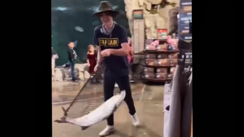 Male who took live 50-pound tarpon from Bass Pro Shops yet to be discovered