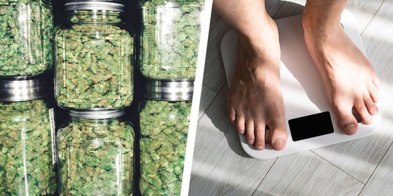 This Is What Weed Does for Weight Loss