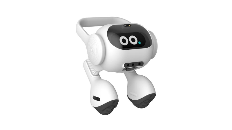 LG established a two-legged AI-powered robotic that can see your animals for you