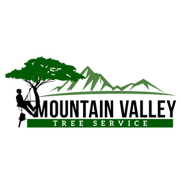 Securing Properties and Lives: The Crucial Role of Weed Abatement Services Offered by Mountain Valley Tree Service