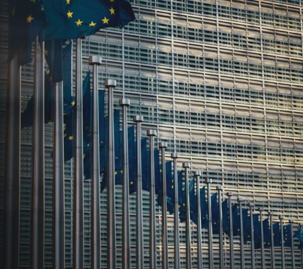 European Parliament embraces EU electrical power market reforms