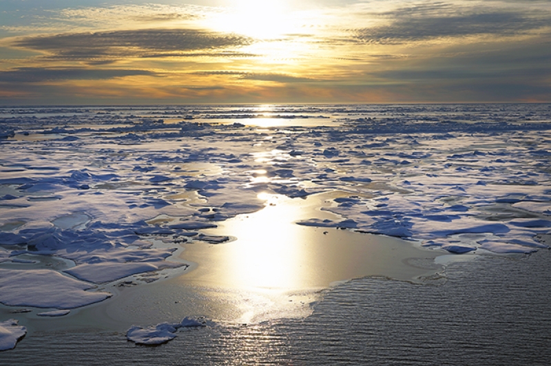 The Current News out of the Arctic Is Mixed– which’s Not Good