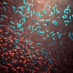 Can Gut Microbiota Predict Multifactorial Disease Risk?