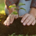 7 Things to Do for Your Community This Earth Month