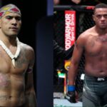 UFC 300|Pro fighters make their choices for Alex Pereira vs. Jamahal Hill title battle