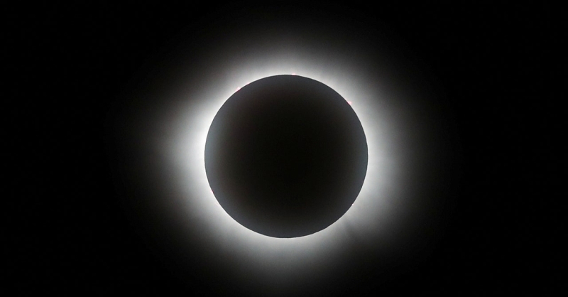 The Very Best Total Solar Eclipse Photos (2024)