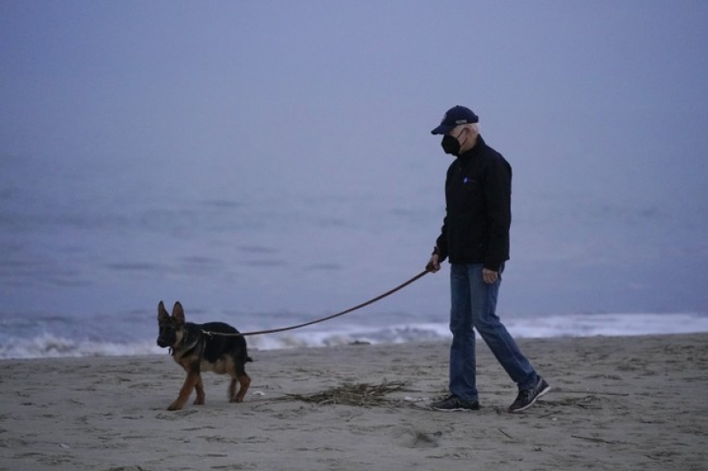 WOOF: Harry Sisson Barks Up the Wrong Tree Trying to Fluff Biden’s Love for Dogs