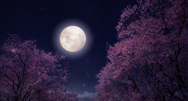 The Spiritual Meaning Behind May’s Flower Moon, According to an Astrologer