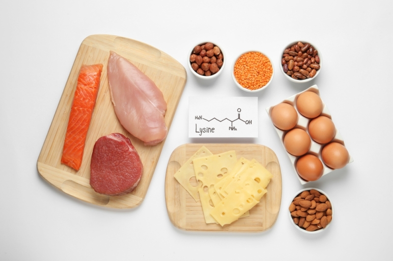 Lysine Is Important for the Body, and Is Generally a Safe Supplement