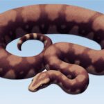 Fossil snake found in India might have been the biggest ever