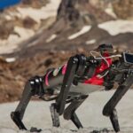 Packs of dog-shaped robotics might one day wander the moon– if they can discover their footing in the world initially