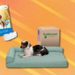 Amazon’s Pet Day offers are here with huge cost savings on fundamentals for furry member of the family