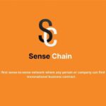 Sense Chain: a New Digital Sense-To-Sense World Where Time Is the Main Asset