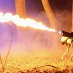 In some way This $10,000 Flame-Thrower Robot Dog Is Completely Legal in 48 States