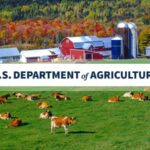 USDA Announces $824 Million in New Funding to Protect Livestock Health; Launches Voluntary H5N1 Dairy Herd Status Pilot Program